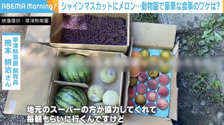 シャインマスカットにメロン…貧乏動物園でも食事が豪華なワケは？ 地元の取り組みに称賛の声「作った側も見てる側も幸せになる」