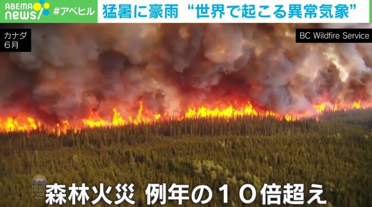 いま、地球で何が起きているのだろうか? 猛暑に豪雨… 世界各地で異常気象による深刻な被害が続出
