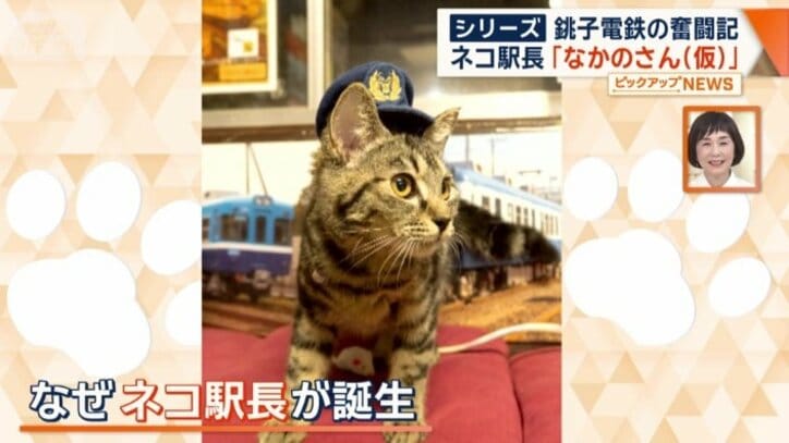 なぜ、ネコの駅長が誕生？