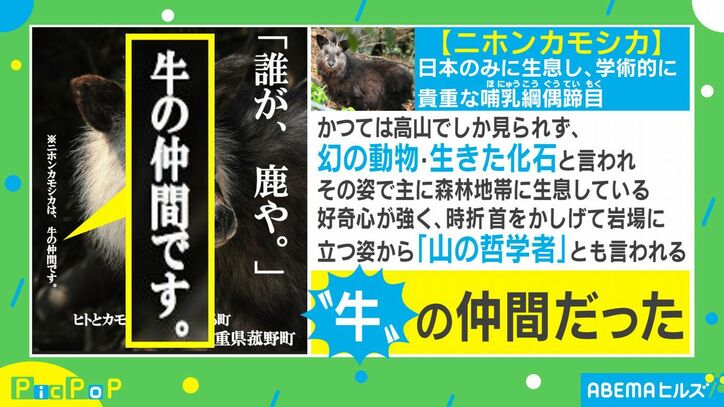 「誰が、鹿や」ニホンカモシカの意外な事実を記した三重県の観光ポスターが話題に