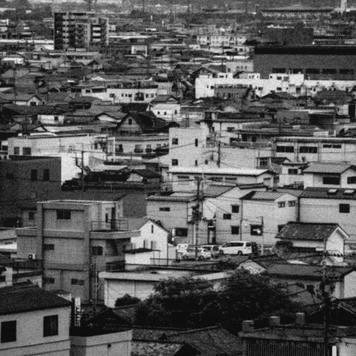 【写真・画像】　2枚目