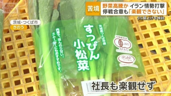 すっぴん小松菜