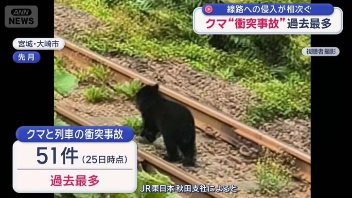 クマと列車の衝突事故は過去最多