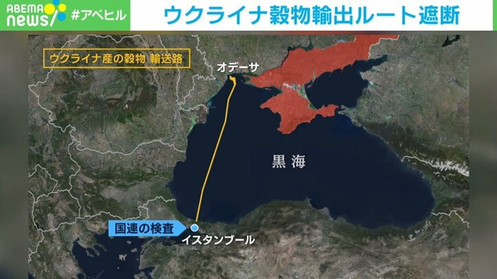 ロシアの穀物合意離脱でアフリカが飢餓に? 国連事務総長「飢えに瀕している数億人や生活費高騰に苦しむ消費者がツケを払う」