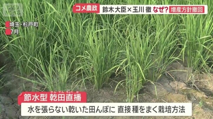 節水型乾田直播栽培