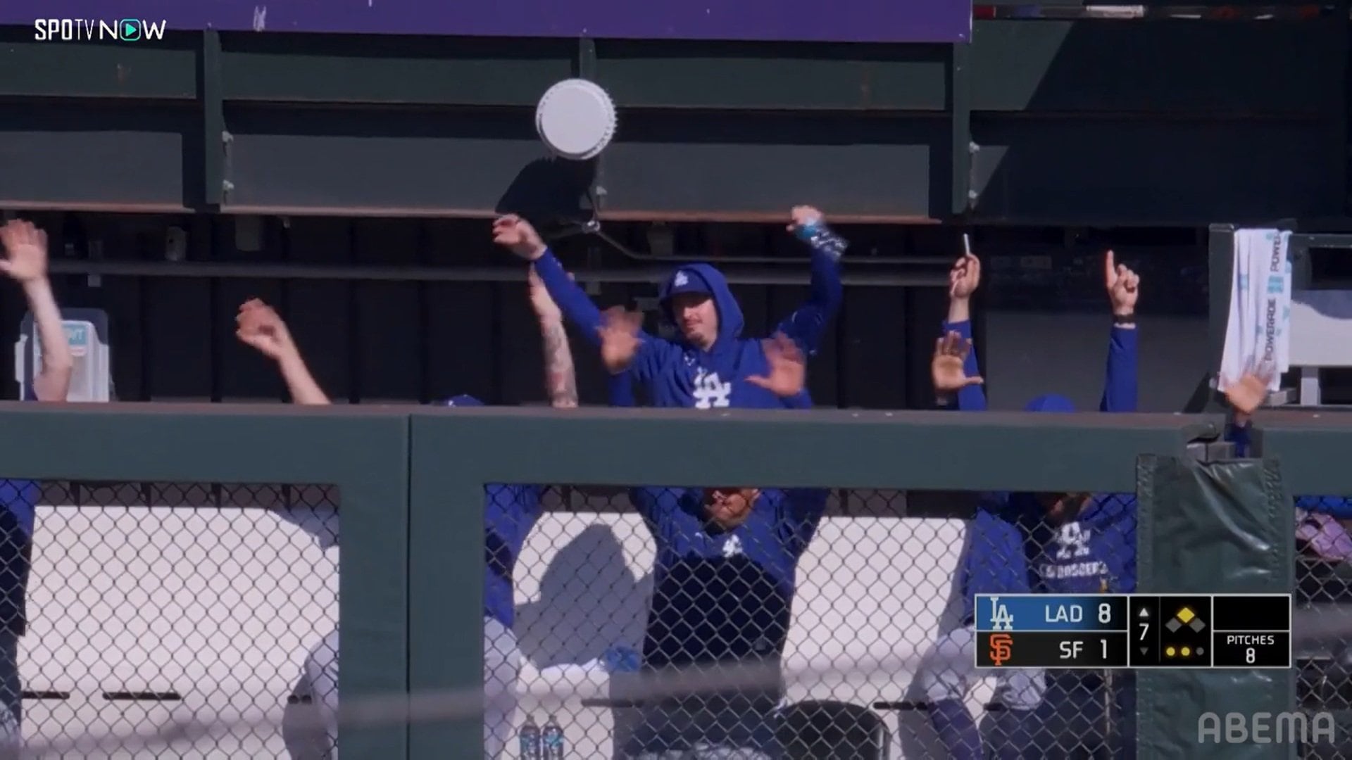 【写真・画像】　2枚目