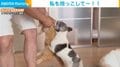 猫の抱っこをバックハグで全力阻止 おっとり犬の"必死の形相"に飼い主大笑い