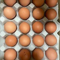 研ナオコ『生卵』