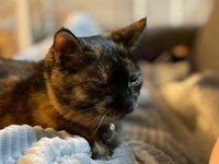 河本準一(次長課長)『息子がノーベル賞⁉️』