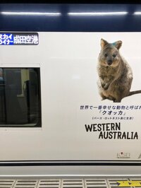 堀ちえみ『入院中にやりたかった事がまたひとつ実現』