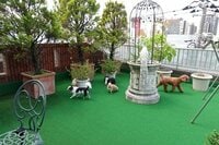 デヴィ夫人『マイファミリーと日光浴』