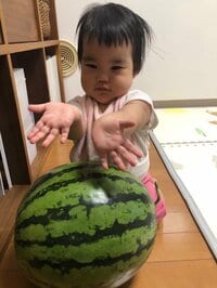 たんぽぽ白鳥久美子『へンパルギーナ』