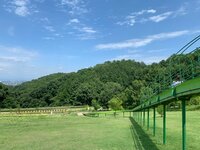 杉浦太陽『大公園遊び!』