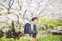 スザンヌ『新一年生』