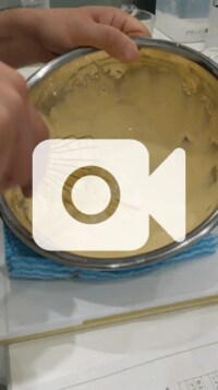 國光吟『ティラミス』