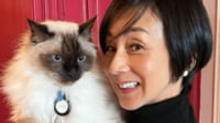 中村江里子 飼い猫・ONEKOとこだわりコーデで外出「気品ある美人さん」