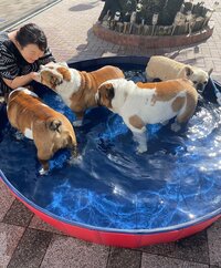 北斗晶『夏ですね〜』