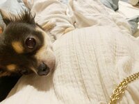 くみっきー『名前のおはなし。』