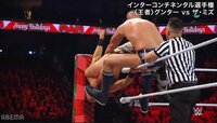 【映像】「一人四天王プロレス」状態のグンター