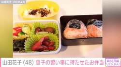 山田花子、息子の習い事に持たせた“手作り弁当”を公開 「もう絶対に美味しい」と絶賛の声