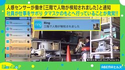 会社で飼っている猫の見守りカメラ設置も…“思わぬ事態”が発覚 「最高の職場」「管理職が可愛いから仕方ない」の声