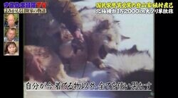 北極横断1万2000km犬ゾリ単独旅を行った冒険家・植村直己さん秘話　犬との絆感じるストーリーに「心底感動」「凄すぎて泣いちゃう」視聴者反響