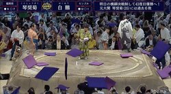 1敗の白鵬、琴奨菊の“ガブリ”に屈する　無数の座布団には視聴者も苦言「危ない」「投げたらあかん」