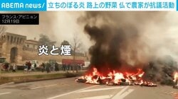 大量の野菜を燃やし…農家らが牛のランピースキン病対策めぐり抗議 一部組合は「やりすぎで残酷だ」 フランス