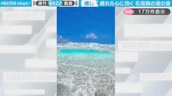 「癒される」石垣島の透き通った“海の映像”と“波の音”に「心身の浄化もされそう…」「音も綺麗だけど画が綺麗すぎる…」