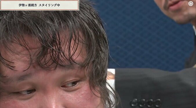 「え！かわいいw」断髪式直後の伊勢ヶ濱親方、スタイリング中の貴重映像にファン悶絶 「テムジンやんw」息子そっくりの声も 3枚目