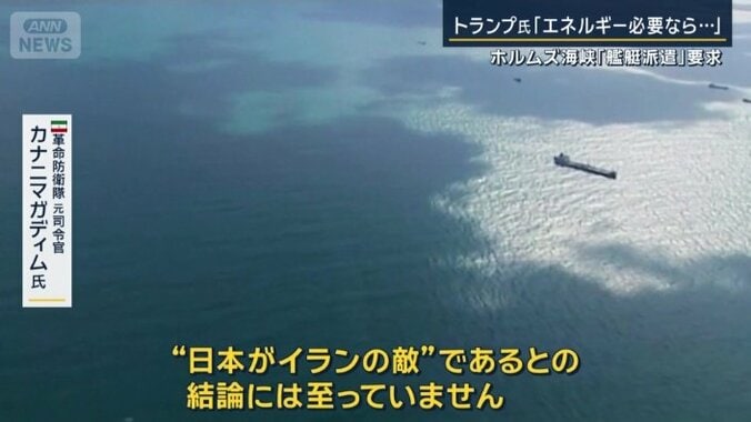 革命防衛隊元司令官　カナニマガディム氏