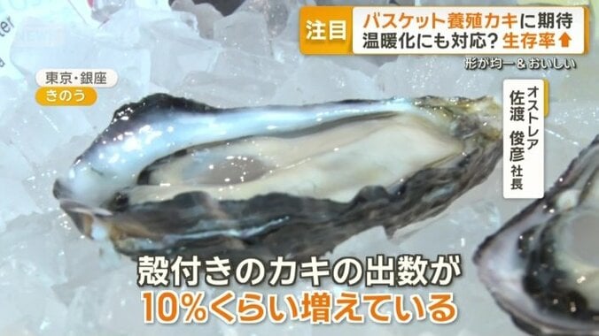 「殻付きのカキの出数が10％くらい増えている」