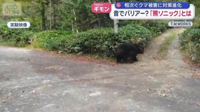 機械音を聞き、逃げるように下がるクマ