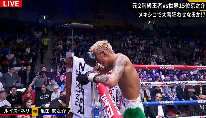 コーナーにもたれる京之介