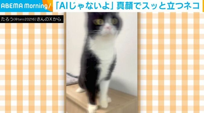 たろうくん