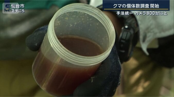 ハチミツと赤ワインを混ぜたエサ