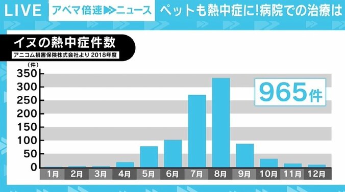 ペットも熱中症になる…重要なのは飼い主の意識 「ペットについて知って、常日頃から健康管理を」 2枚目