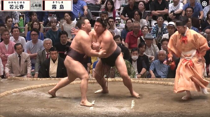 【写真・画像】　1枚目