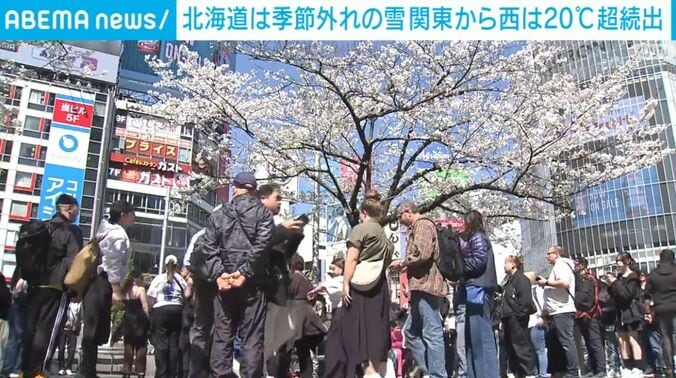 渋谷スクランブル交差点前の桜（各地の様子）