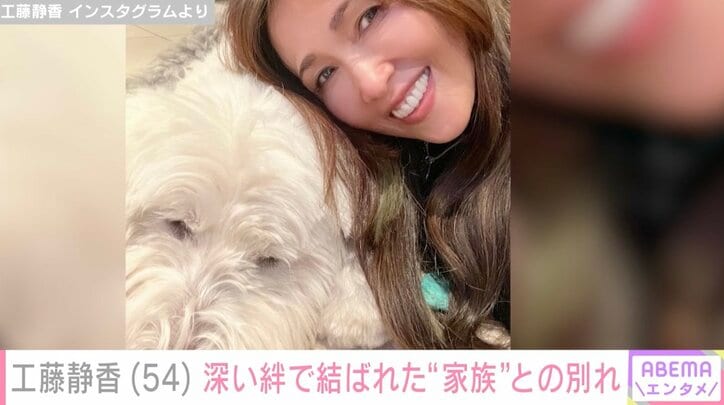 【写真・画像】工藤静香、愛犬・ヒカルが天国へ旅立つ「なかなか頭に心が追いつかない状態です」　1枚目