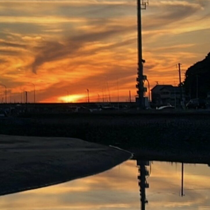 【写真・画像】　2枚目