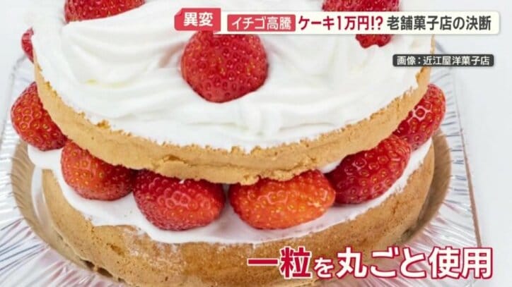 イチゴを一粒丸ごと使用したクリスマスケーキ
