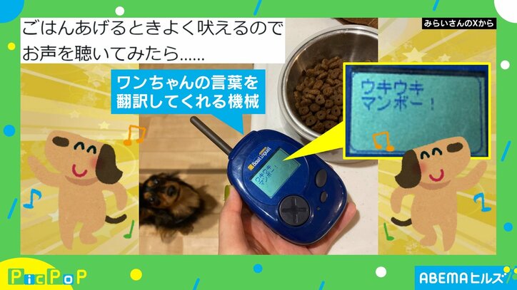 【写真・画像】ピック 0307 2枚目