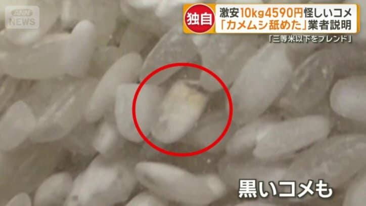 黒いコメも混ざっている