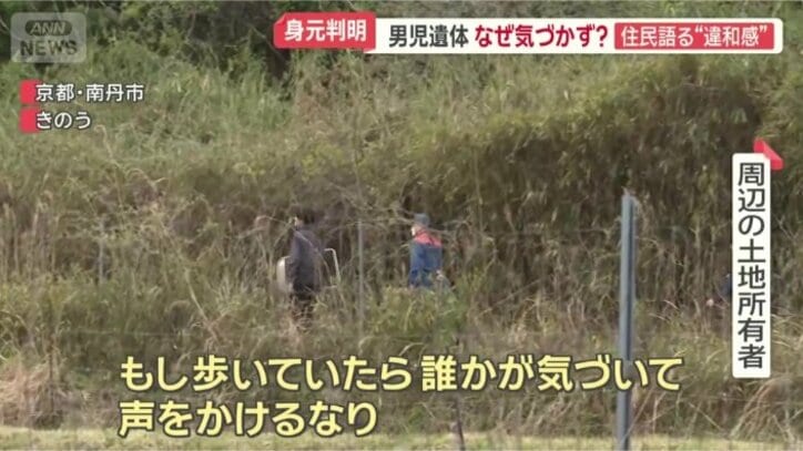 「見に行くというような感じ」