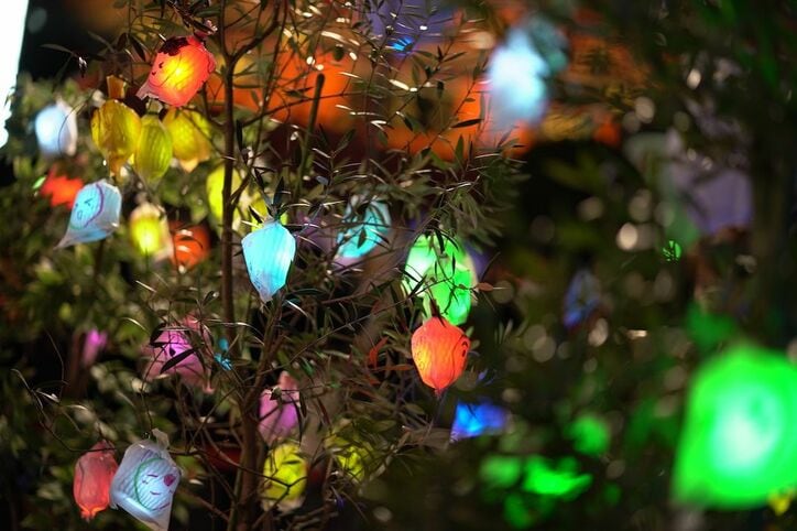 最終回直前『オオカミちゃんくん』イルミネーションイベントでファンと対面！メンバー全員に共通の質問を投げかけてみた