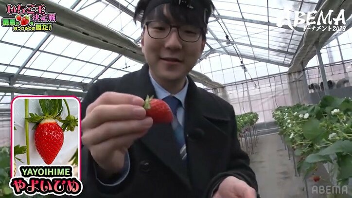 永瀬拓矢王座が新タイトル獲得？大好きイチゴ狩りにテンションMAX「私がいちご王です」ファンは爆笑「負けず嫌いすぎw」／将棋・ABEMAトーナメント