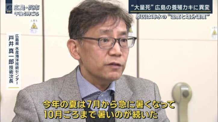 広島県水産海洋技術センター　戸井真一郎技術次長