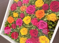 薬丸裕英『妻の誕生日』