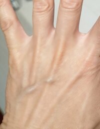 加藤貴子『『例外なく・・・』』